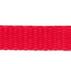 Frisco Solid Nylon Dog Leash -PetNest Shop 133806 PT2. SY630 V1528227232