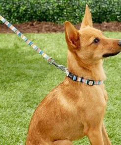 Frisco Patterned Polyester Dog Leash -PetNest Shop 137711 PT1. SY630 V1528228451