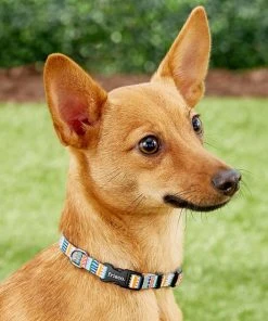 Frisco Patterned Polyester Dog Collar -PetNest Shop 137737 PT2. SY630 V1620515233