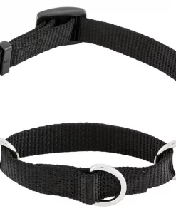 Frisco Solid Nylon Martingale Dog Collar with Buckle