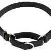 Frisco Solid Nylon Slip-On Martingale Dog Collar -PetNest Shop 139163 Main. SY630 V1582829023