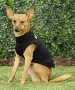Frisco Security Dog & Cat T-Shirt -PetNest Shop 139500 PT6. SY630 V1624615676