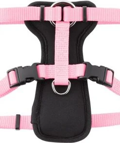 Frisco Padded Nylon No Pull Dog Harness -PetNest Shop 140003 PT3. SY630 V1561574027
