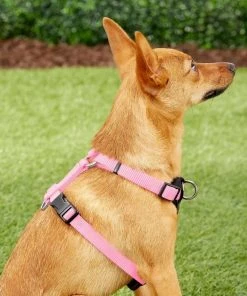 Frisco Padded Nylon No Pull Dog Harness -PetNest Shop 140003 PT5. SY630 V1561574033