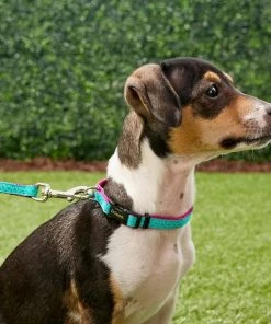 Frisco Patterned Nylon Dog Leash 8 Frisco Patterned Nylon Dog Leash -PetNest Shop 140045 PT1. SY630 V1525790321