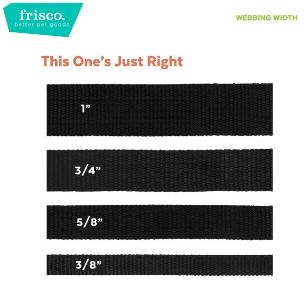 Frisco Patterned Nylon Dog Leash 6 Frisco Patterned Nylon Dog Leash - Image 4