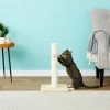 Frisco 21-in Sisal Cat Scratching Post with Toy -PetNest Shop 140149 MAIN. SY630 V1584450985