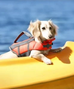 Frisco Ripstop Dog Life Jacket -PetNest Shop 140916 PT7. SY630 V1631063778