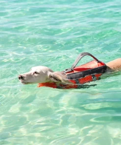 Frisco Ripstop Dog Life Jacket -PetNest Shop 140916 PT8. SY630 V1540476419