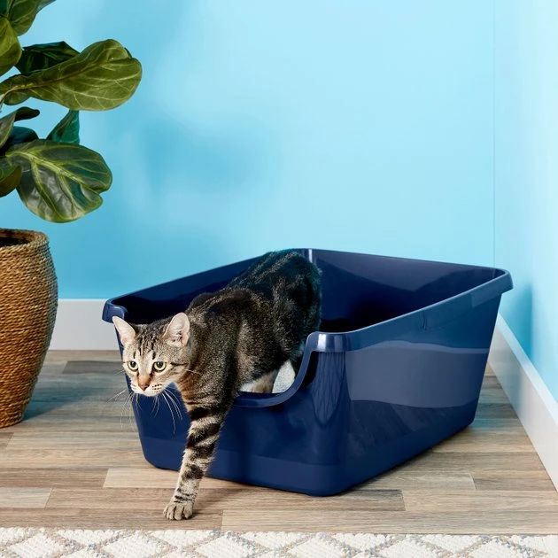 Frisco High Sided Cat Litter Box, Extra Large 24-in 5 Frisco High Sided Cat Litter Box, Extra Large 24-in - Image 3