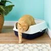 Frisco Open Top Cat Litter Box With Rim, Large 19-in -PetNest Shop 141377 MAIN. SY630 V1565284941