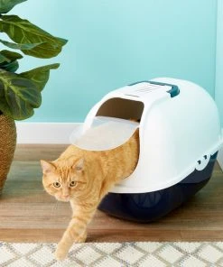 Frisco Hooded Cat Litter Box, Large 20-in -PetNest Shop 141380 PT2. SY630 V1519754684