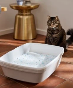 Frisco Summer Clean Scented Non-Clumping Crystal Cat Litter 13 Frisco Summer Clean Scented Non-Clumping Crystal Cat Litter -PetNest Shop 144146 PT4. SY630 V1659023731