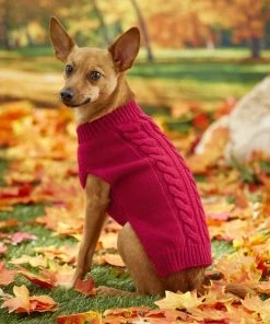 Frisco Dog & Cat Cable Knitted Sweater -PetNest Shop 144243 PT5. SY630 V1541456750