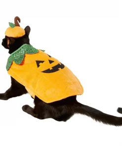 Frisco Pumpkin Dog & Cat Costume