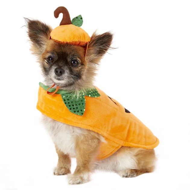 Frisco Pumpkin Dog & Cat Costume 5 Frisco Pumpkin Dog & Cat Costume - Image 3