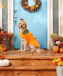 Frisco Pumpkin Dog & Cat Costume 13 Frisco Pumpkin Dog & Cat Costume -PetNest Shop 144441 PT3. SY630 V1567175133