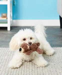 Frisco Plush Squeaking Bear Dog Toy 6 Frisco Plush Squeaking Bear Dog Toy -PetNest Shop 146979 PT1. SY630 V1539205036