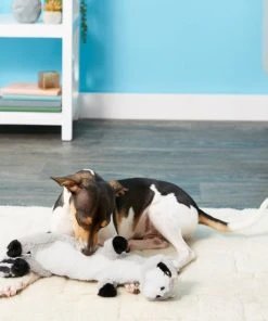 Frisco Skinny Plush Squeaking Raccoon Dog Toy -PetNest Shop 147045 PT1. SY630 V1539205362