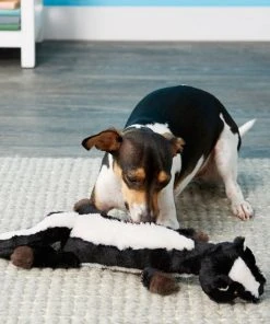 Frisco Skinny Plush Squeaking Skunk Dog Toy 6 Frisco Skinny Plush Squeaking Skunk Dog Toy -PetNest Shop 147047 PT1. SY630 V1539205381