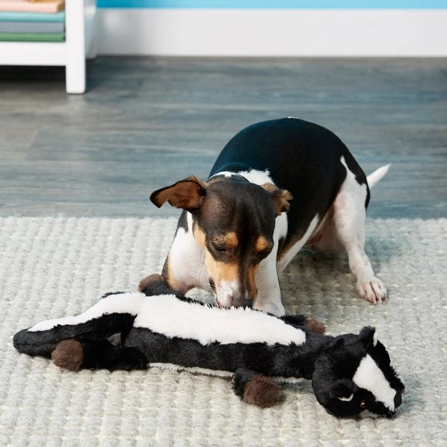 Frisco Skinny Plush Squeaking Skunk Dog Toy 4 Frisco Skinny Plush Squeaking Skunk Dog Toy - Image 2