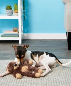 Frisco Plush with Inside Rope Squeaking Bear Dog Toy -PetNest Shop 147061 PT1. SY630 V1539205696