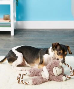 Frisco Plush with Rope Squeaking Monkey Dog Toy -PetNest Shop 147067 PT1. SY630 V1539286324