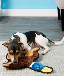 Frisco Flat Plush Squeaking Duck Dog Toy -PetNest Shop 147069 PT2. SY630 V1589405472