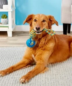 Frisco Rope with Squeaking Ball Dog Toy 6 Frisco Rope with Squeaking Ball Dog Toy -PetNest Shop 147098 PT1. SY630 V1539366735