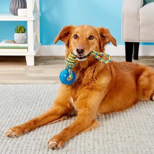 Frisco Rope with Squeaking Ball Dog Toy 4 Frisco Rope with Squeaking Ball Dog Toy - Image 2