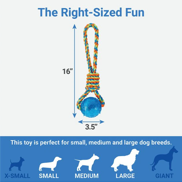 Frisco Rope with Squeaking Ball Dog Toy 5 Frisco Rope with Squeaking Ball Dog Toy - Image 3