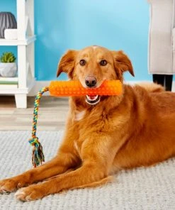 Frisco Rope with Handle Grip Dog Toy -PetNest Shop 147102 PT1. SY630 V1539286334