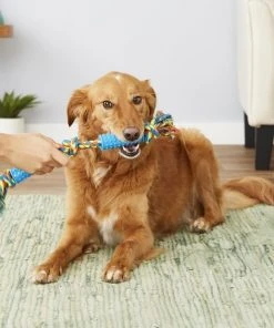 Frisco Rope with Double Handle Grip Dog Toy -PetNest Shop 147106 PT1. SY630 V1539206419