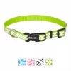 Frisco Patterned Polyester Reflective Dog Collar -PetNest Shop 151018 MAIN. SY630 V1619126216