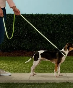 Frisco Patterned Nylon Reflective Dog Leash -PetNest Shop 151035 PT4. SY630 V1628029029