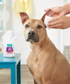 Frisco Deodorizing Ear Wipes with Aloe for Dogs & Puppies -PetNest Shop 152583 PT4. SY630 V1551302935