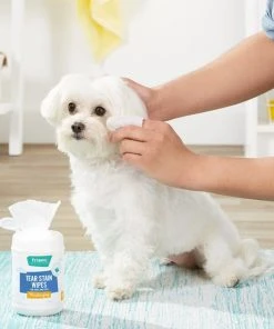 Frisco Moisturizing Tear Stain Wipes with Aloe for Dogs & Cats -PetNest Shop 152585 PT4. SY630 V1551302938