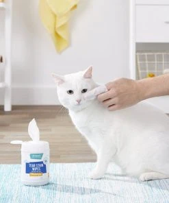 Frisco Moisturizing Tear Stain Wipes with Aloe for Dogs & Cats -PetNest Shop 152585 PT5. SY630 V1556122637