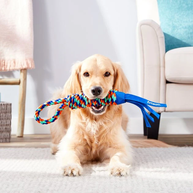 Frisco Rope with Handle & Tassels Dog Toy 5 Frisco Rope with Handle & Tassels Dog Toy - Image 3