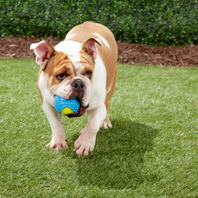 Frisco Tennis Ball with Rubber Sleeve, Medium 6 Frisco Tennis Ball with Rubber Sleeve, Medium - Image 4