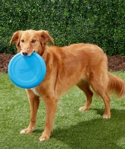 Frisco Fetch Rubber Flyer Dog Toy -PetNest Shop 152848 PT3. SY630 V1549655097