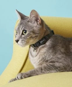 Frisco Nylon Breakaway Cat Collar with Bell -PetNest Shop 153147 PT1. SY630 V1568380127