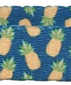 Frisco Pineapple Polyester Breakaway Cat Collar with Bell -PetNest Shop 153158 PT3. SY630 V1568380088 scaled