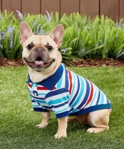 Frisco Striped Dog & Cat Polo Shirt, Red & Blue -PetNest Shop 153589 PT6. SY630 V1624902158