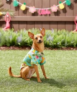 Frisco Pineapple Hawaiian Camp Dog & Cat Shirt 17 Frisco Pineapple Hawaiian Camp Dog & Cat Shirt -PetNest Shop 153596 PT7. SY630 V1644884316