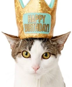 Frisco Happy Birthday Dog & Cat Crown -PetNest Shop 153665 PT2. SY630 V1551230979