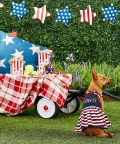 Frisco American Cutie Dog & Cat Sundress -PetNest Shop 153735 PT4. SY630 V1633126624