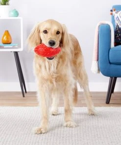 Frisco Squeaky Football Dog Toy -PetNest Shop 154412 PT2. SY630 V1560352780