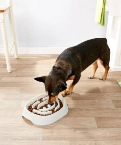Frisco Non-Skid Slow Feeder Dog & Small Pet Bowl -PetNest Shop 155647 PT4. SY630 V1553538752