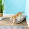 Frisco Sifting Cat Litter Box, Large, 22-in -PetNest Shop 155658 MAIN. SY630 V1565284998